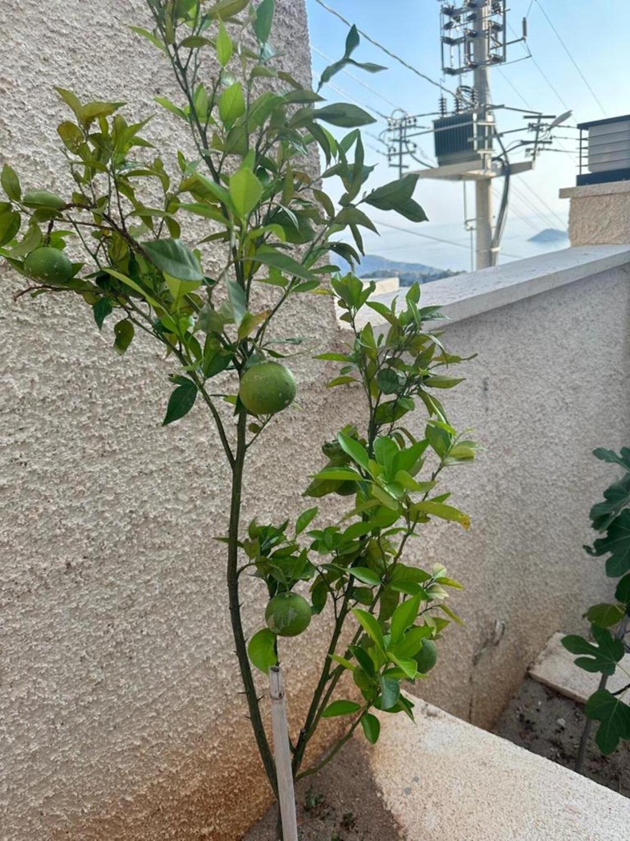 Kalkan Villa Beauty Honeymoon Kas Bagian luar foto